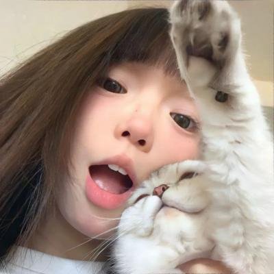 窗户上的阴影